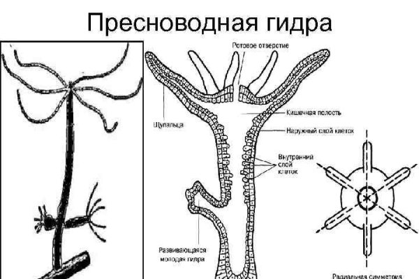 Кракен вместо гидры